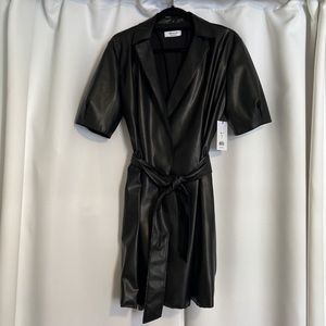 Bailey 44 Robin Vegan Leather Dress in Black (Size Large)